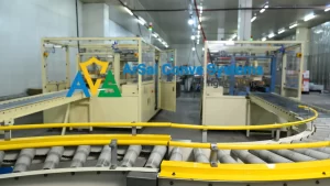 Read more about the article Top 10 Conveyor Manufacturers in India